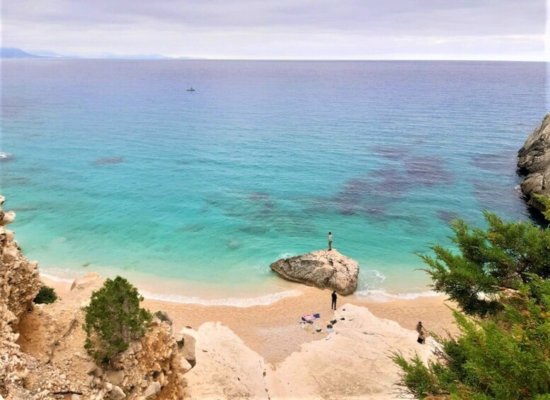 Picture 4 for Activity Baunei: Cala Goloritzè Trekking Tour with A Guide