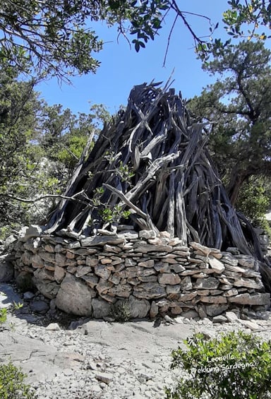 Picture 2 for Activity Baunei: Cala Goloritzè Trekking Tour with A Guide