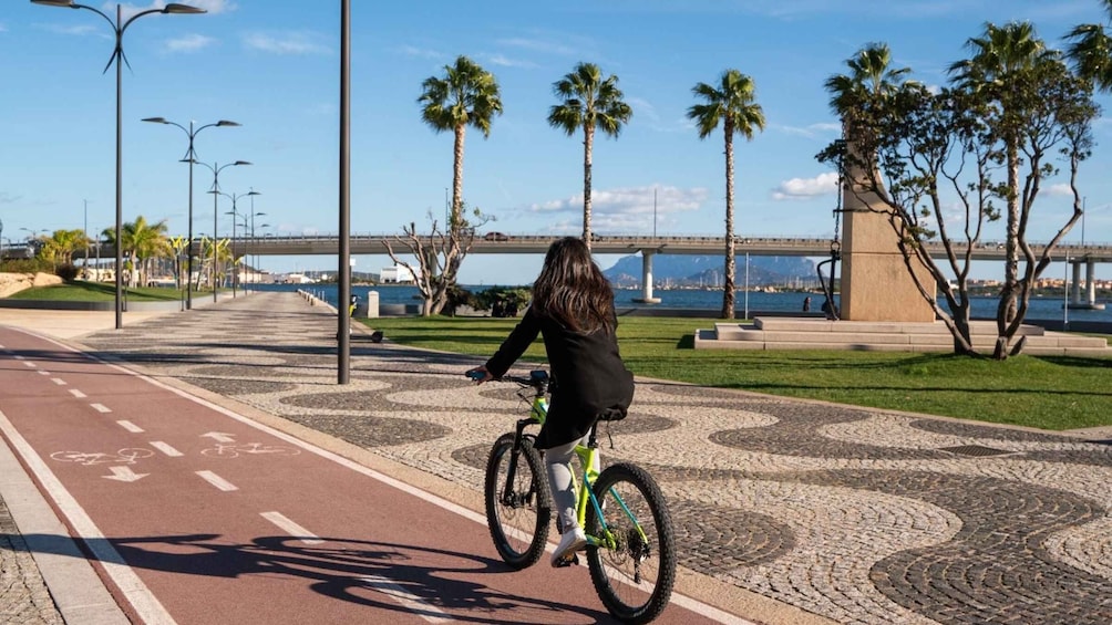 Picture 6 for Activity Olbia: Electric Bike Rental