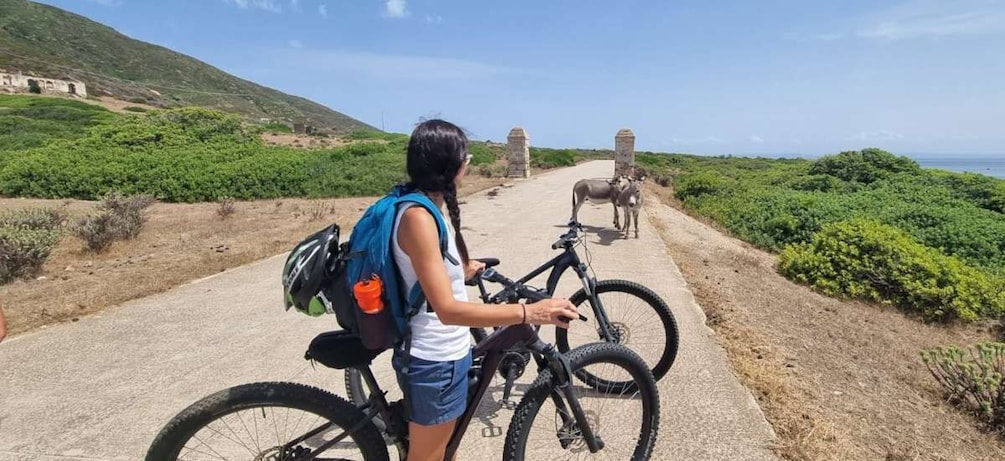 From Porto Torres: E-Bike Rental