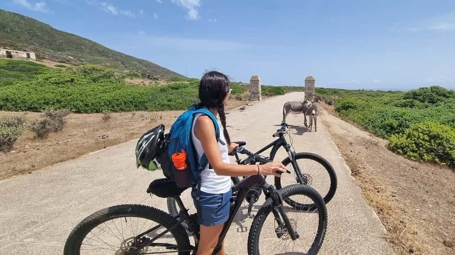 From Porto Torres: E-Bike Rental