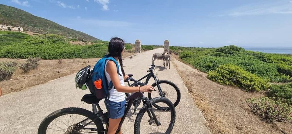 From Porto Torres: E-Bike Rental