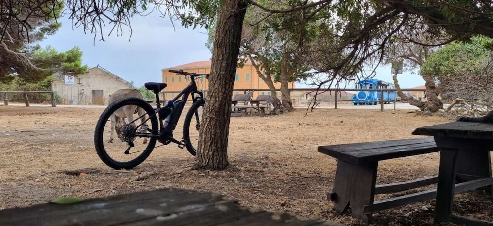 Picture 15 for Activity From Porto Torres: E-Bike Rental