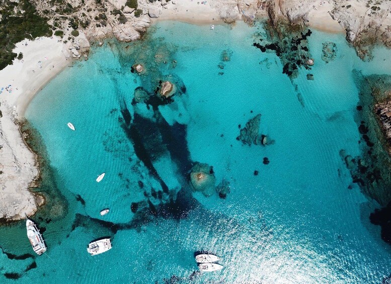 Picture 15 for Activity From Cannigione: La Maddalena Archipelago Catamaran Tour