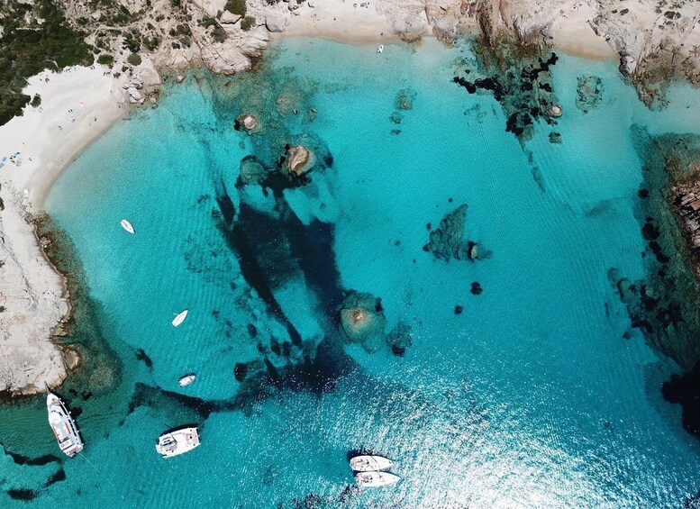 Picture 2 for Activity From Cannigione: La Maddalena Archipelago Catamaran Tour