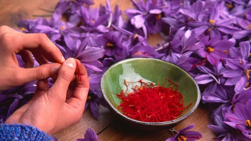 Olmedo: Guided tour of saffron laboratory with tasting