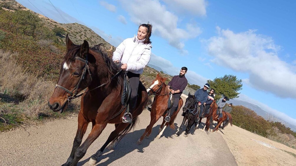 Picture 9 for Activity Cagliari: panoramic horseback riding