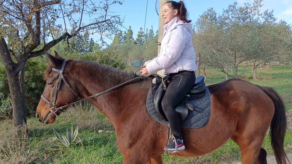 Picture 8 for Activity Cagliari: panoramic horseback riding