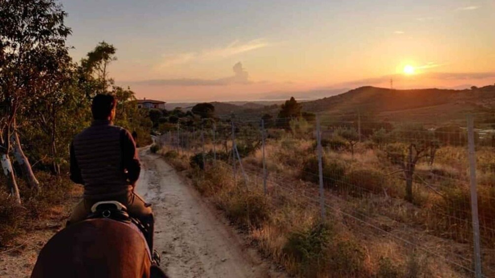 Picture 5 for Activity Cagliari: panoramic horseback riding