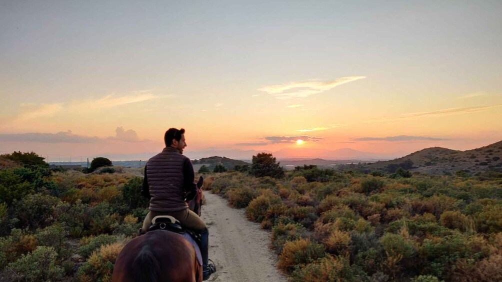 Picture 6 for Activity Cagliari: panoramic horseback riding