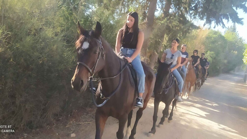 Picture 2 for Activity Cagliari: panoramic horseback riding