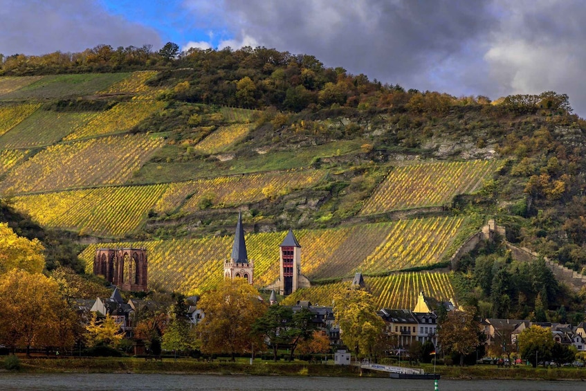 Picture 59 for Activity From Milan: Barolo Private Wine Tour with a Private Driver