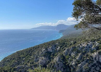 From Cala Gonone: Food, wine and craft tours in Dorgali