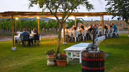 Alghero: cena en el viñedo con vino
