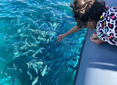 Dari Palau Perjalanan Perahu RIB Setengah Hari Kepulauan Korsika