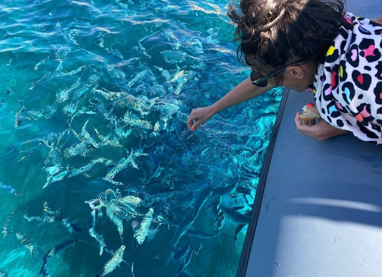 From Palau: Corsican Archipelago Half-Day RIB Boat Trip