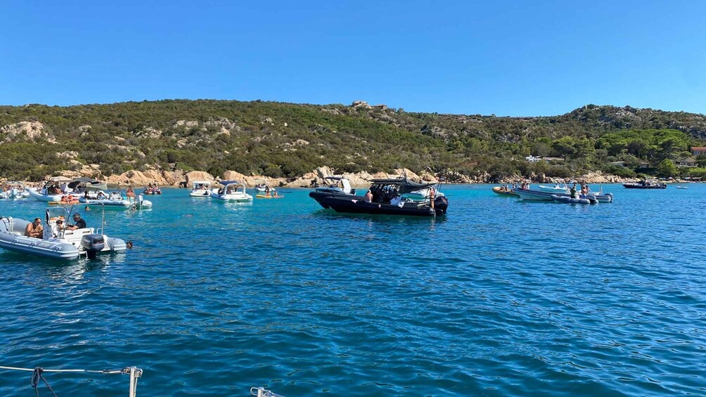 Picture 5 for Activity Porto San Paolo: Tavolara Island Sailboat Cruise with Lunch