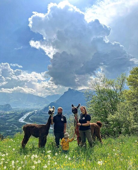 Picture 9 for Activity Triesenberg: Walk with a llama in the beautiful mountains