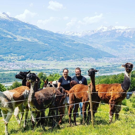 Picture 8 for Activity Triesenberg: Walk with a llama in the beautiful mountains