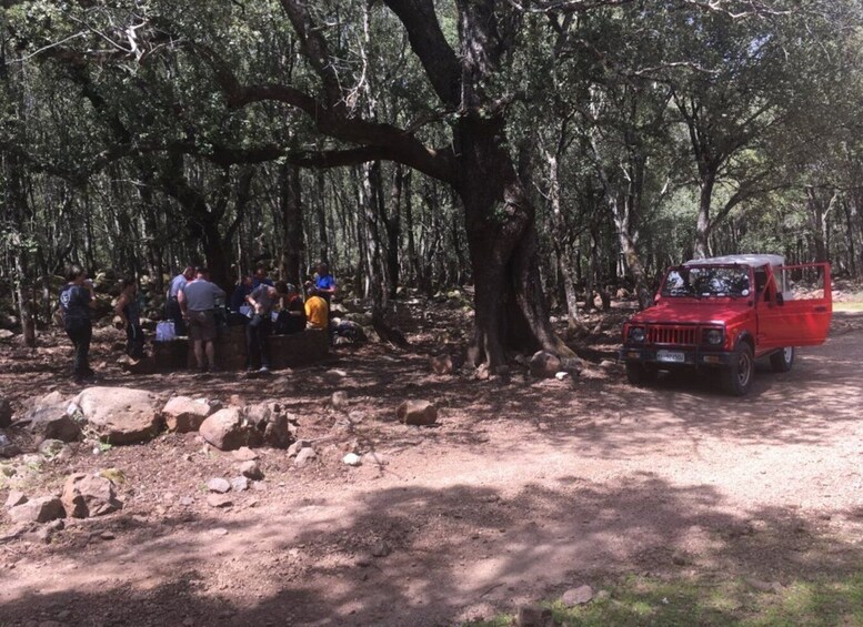 Picture 3 for Activity Dorgali: Supramonte Full-day Jeep Off-Roading & Hiking Tour