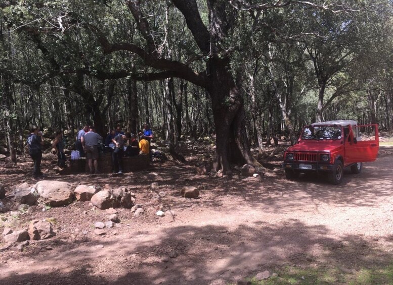 Picture 3 for Activity Dorgali: Supramonte Full-day Jeep Off-Roading & Hiking Tour