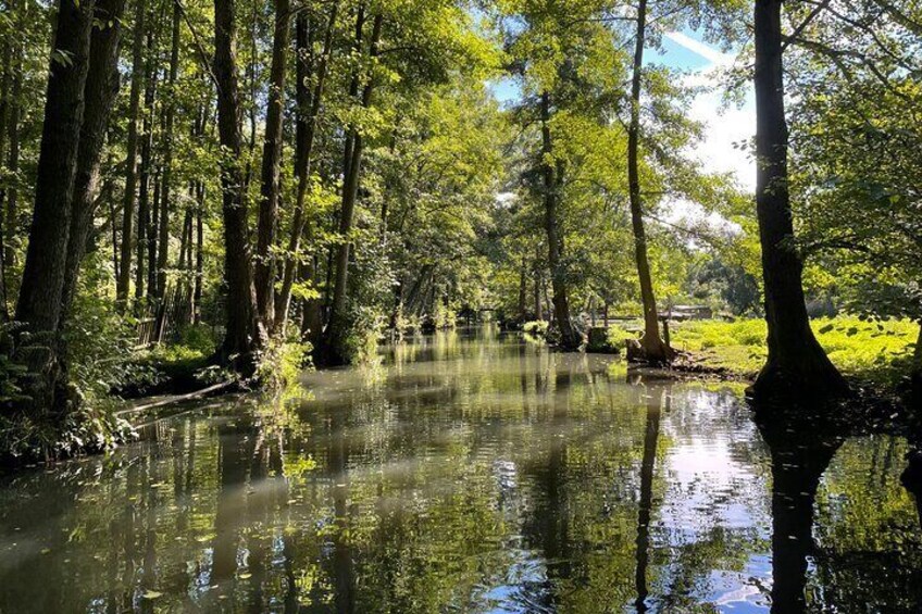 Spreewald excursion with biosphere boat ride