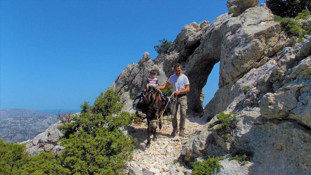 Picture 1 for Activity Donkey walk in Suttaterra forest from Dorgali