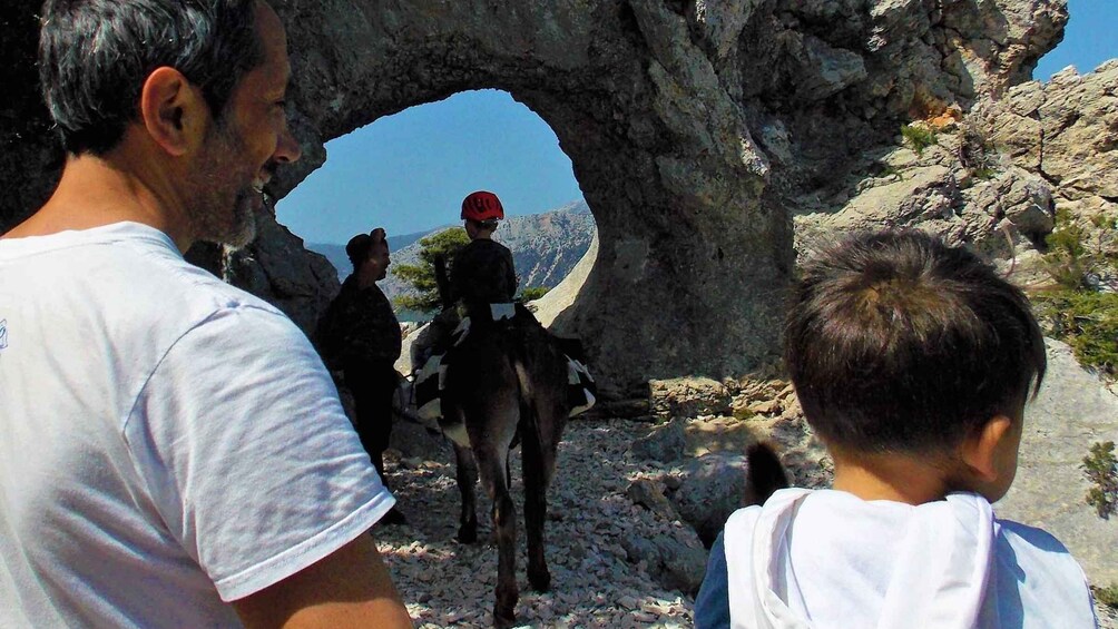 Picture 3 for Activity Donkey walk in Suttaterra forest from Dorgali