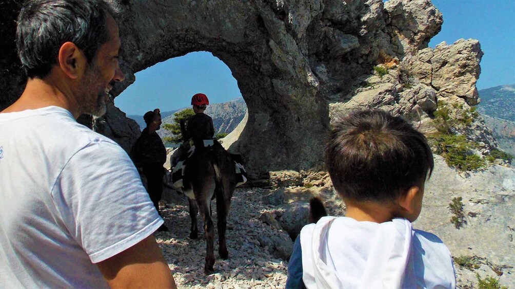 Picture 3 for Activity Donkey walk in Suttaterra forest from Dorgali