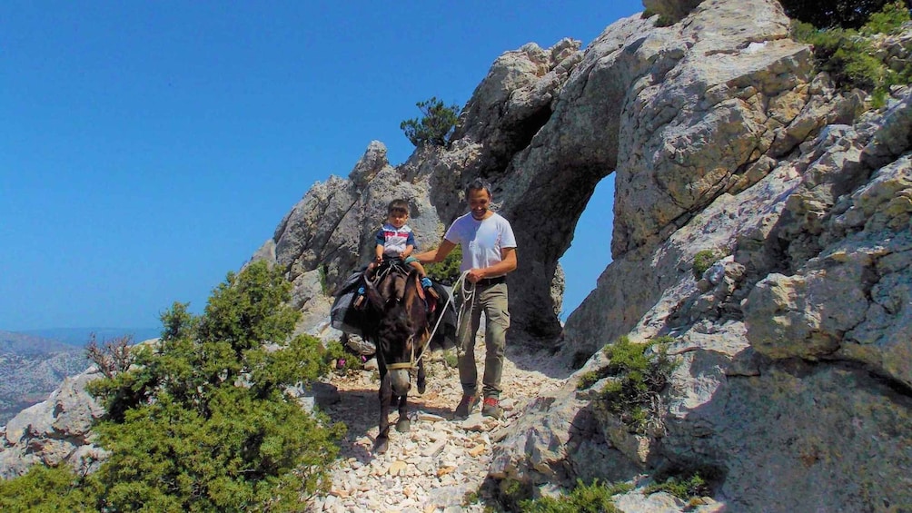 Picture 1 for Activity Donkey walk in Suttaterra forest from Dorgali