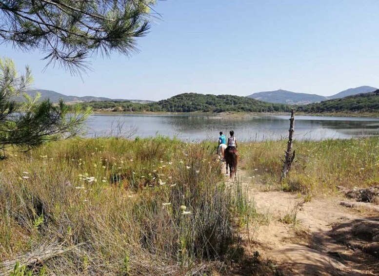 Picture 2 for Activity Alghero: Lake Baratz Guided Horseback Ride