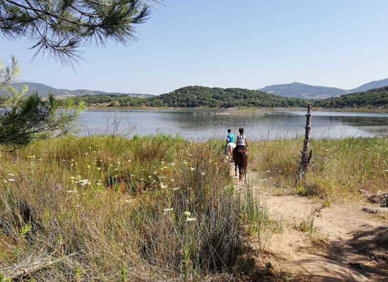 Picture 2 for Activity Alghero: Lake Baratz Guided Horseback Ride