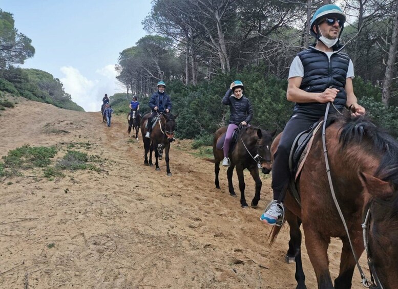 Picture 3 for Activity Alghero: Lake Baratz Guided Horseback Ride