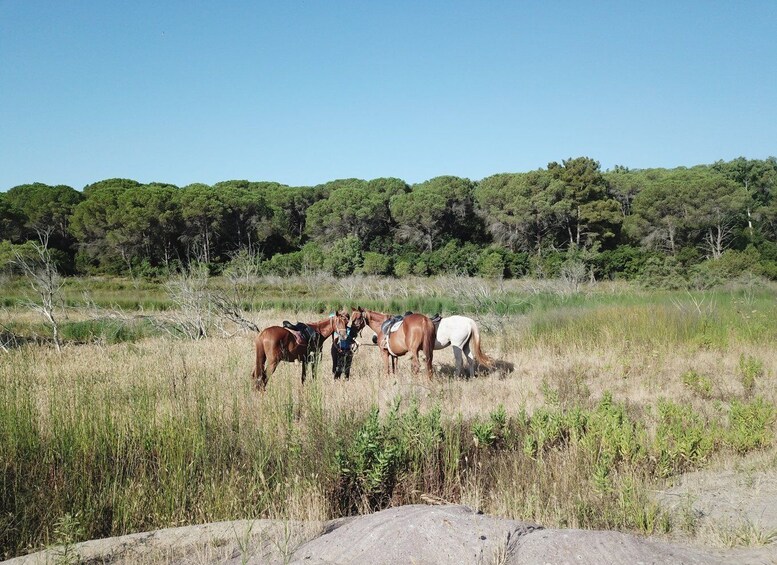 Picture 4 for Activity Alghero: Lake Baratz Guided Horseback Ride