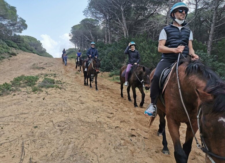 Picture 3 for Activity Alghero: Lake Baratz Guided Horseback Ride