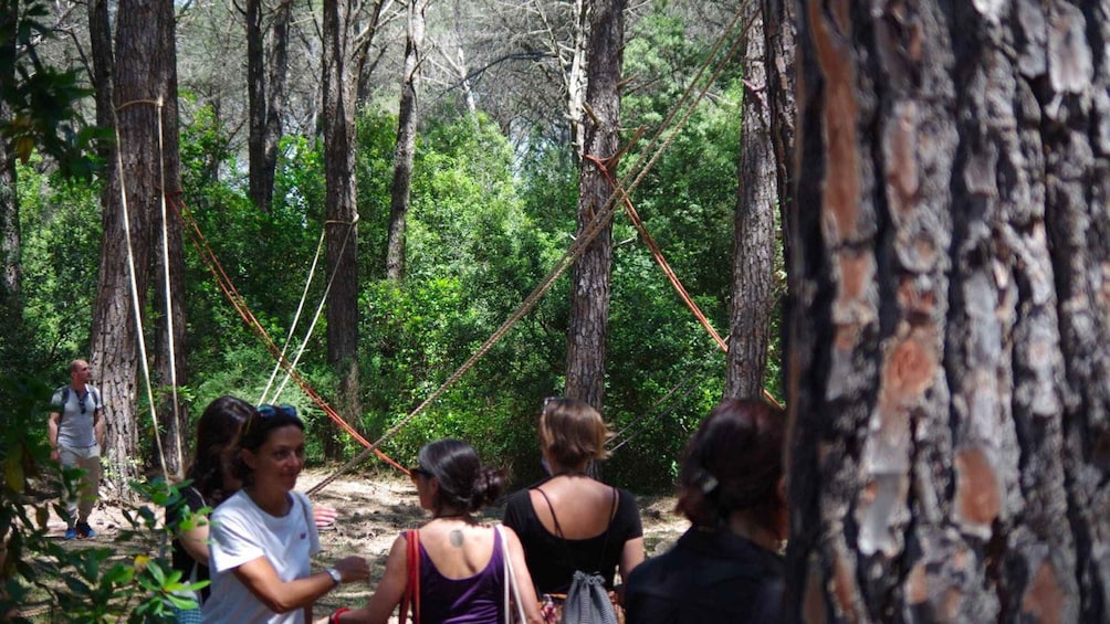 Picture 2 for Activity Tempio Pausania: Limbara Museum Organica Tour with Tastings