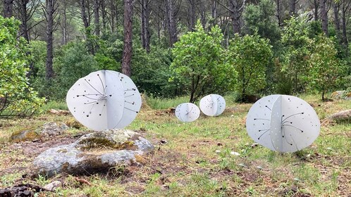 Tempio Pausania: Limbara Museum Organica omvisning med smaksprøver