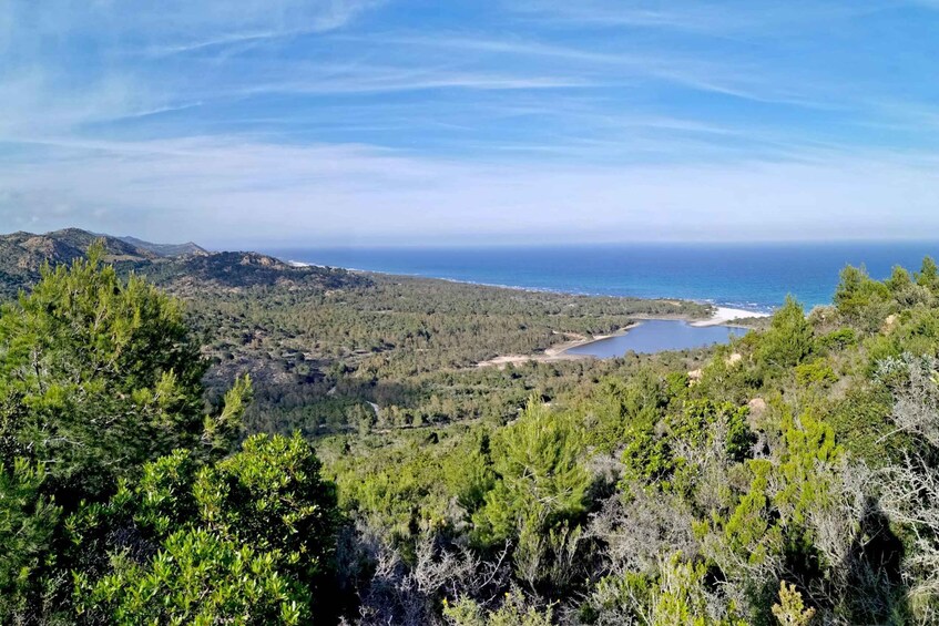 Picture 30 for Activity From Orosei: 4x4 private tour to Biderosa and Capo Comino