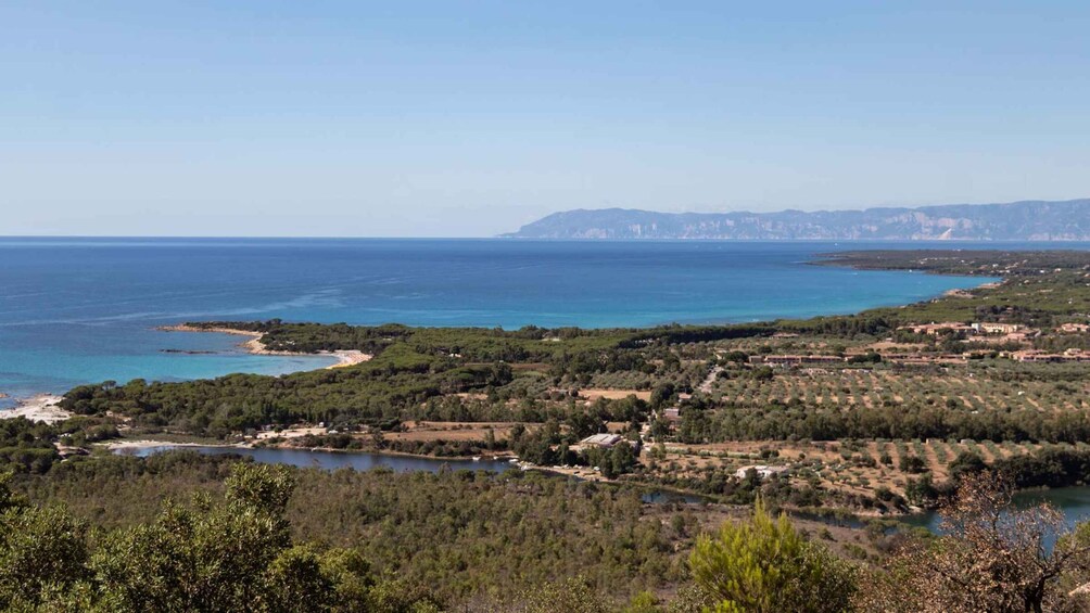 Picture 20 for Activity From Orosei: 4x4 private tour to Biderosa and Capo Comino