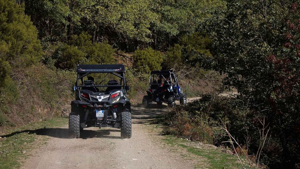 Picture 9 for Activity From Aritzo: buggy tour on Gennargentu