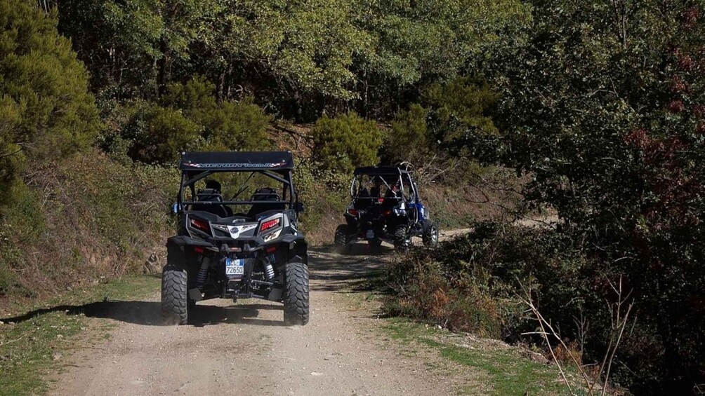 Picture 9 for Activity From Aritzo: Gennargentu Mountains Buggy Tour with Trek