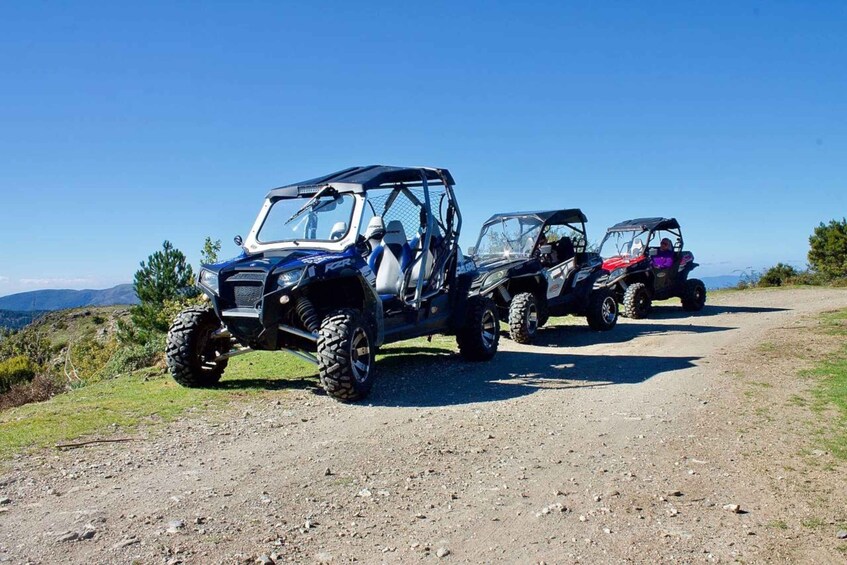 Picture 3 for Activity From Aritzo: Gennargentu Mountains Buggy Tour with Trek