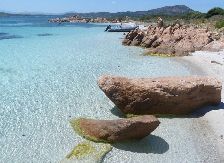 Picture 6 for Activity From Olbia: Dinghy Tour with Snorkeling to Tavolara Island