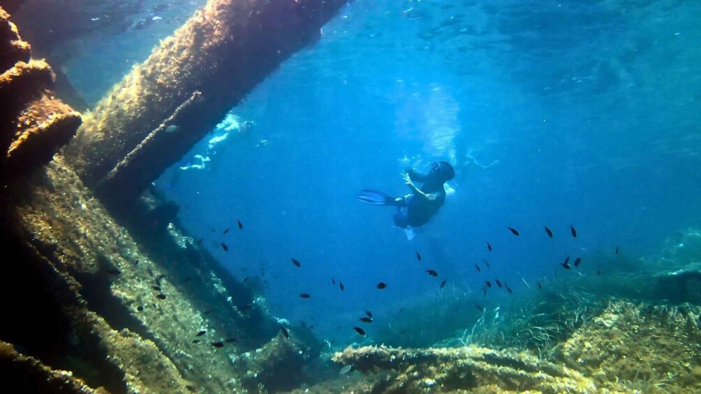 Picture 3 for Activity From Olbia: Dinghy Tour with Snorkeling to Tavolara Island