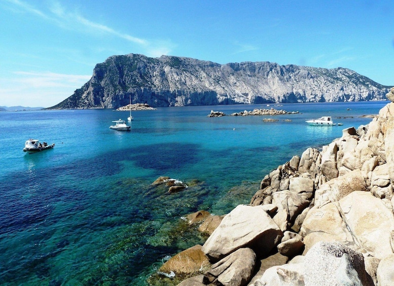 Picture 8 for Activity From Olbia: Dinghy Tour with Snorkeling to Tavolara Island