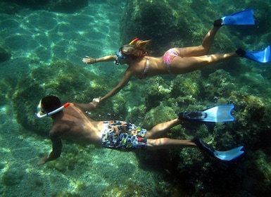 Vanuit Olbia: Duikboottocht met snorkelen naar het eiland Tavolara