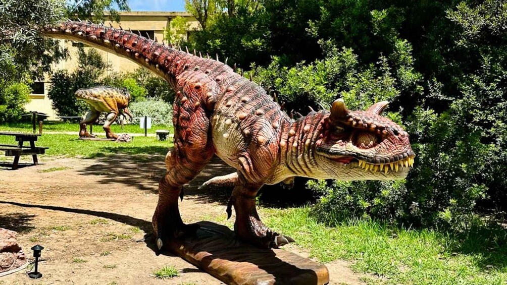 Picture 7 for Activity Alghero: Discover dinosaurs in Porto Conte Park
