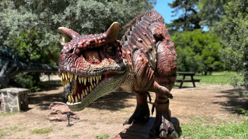 Alghero: Discover dinosaurs in Porto Conte Park