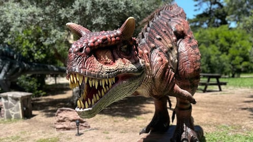 Alghero : Découvrez les dinosaures au parc Porto Conte