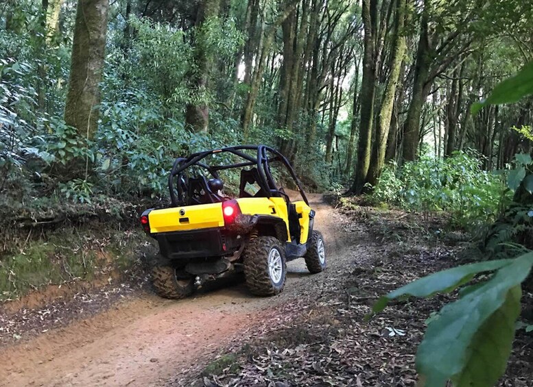 Picture 2 for Activity Rotorua: 4×4 Self-Drive Buggy Tour Through Farm and Bushland